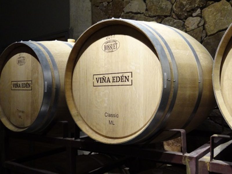 Viña Edén - Visita e Degustação de Vinhos - Enoturismo - Punta del Este - Botella Barrica