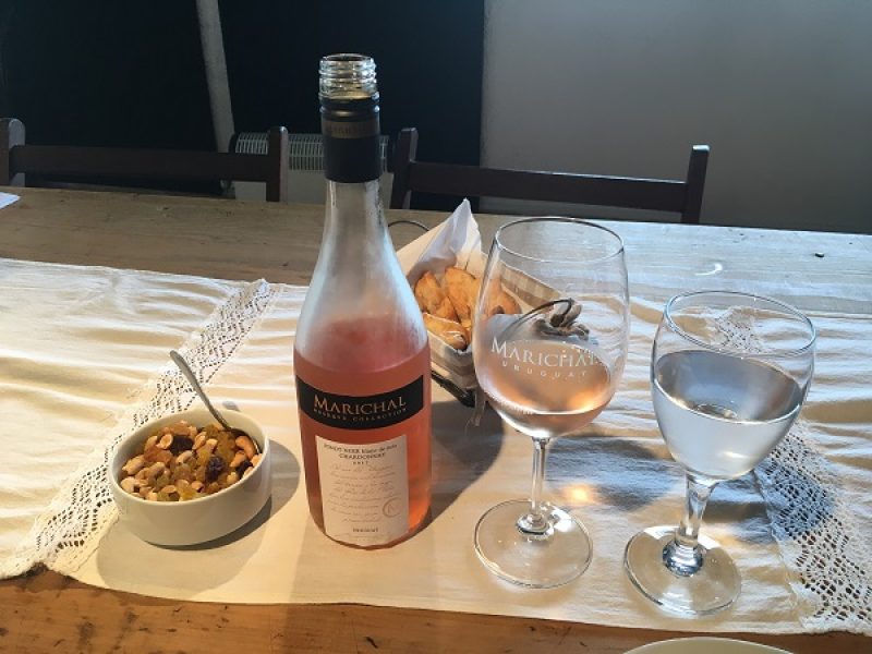 Vinícolas Marichal e Artesana com Degustação - Tannat Rose