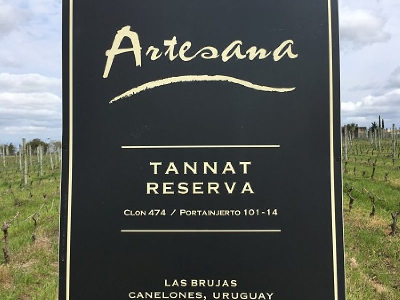 Vinícolas Marichal e Artesana com Degustação - Uvas Especiais da Reserva Tannat