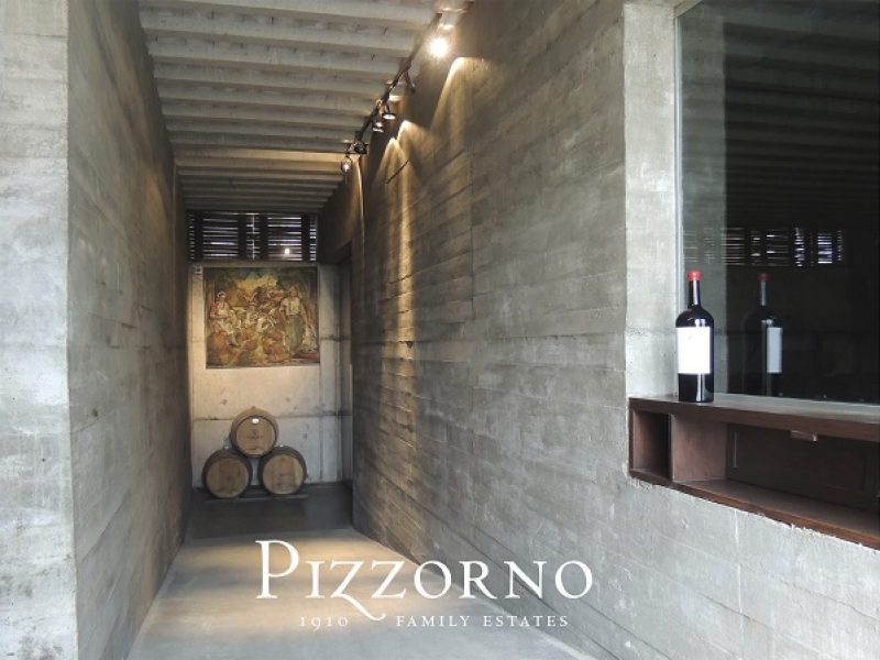Bodegas Spinoglio & Pizzorno – Visita e Degustação com Almoço - Instalações